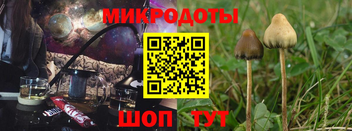 Псилоцибиновые грибы Psilocybe  Вход с VPN  Новочеркасск 